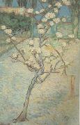Blossoming Pear Tree (nn04), Vincent Van Gogh